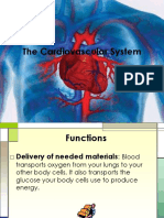 The Cardiovascular System