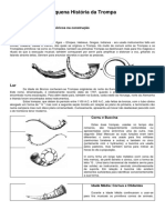 Embocadura de Instrumentos Da Família Dos Metais Gerly