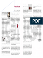 Article-Ruby.pdf