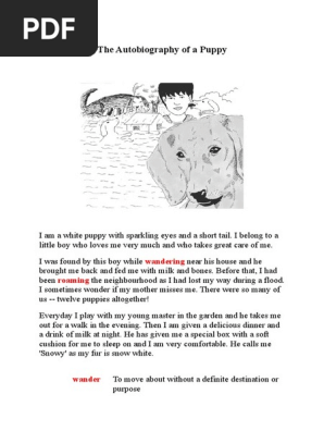 An Autobiography Of A Dog