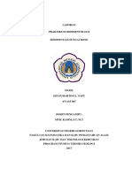 Siti Napu - 471415007 - Laporan Sedimentologi PDF