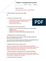 Integumentary System Practice Qs 2