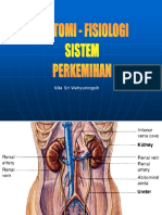 anfis-perkemihan.ppt