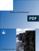 Deltas and Estuaries: Sedimentation Processes in Coastal Environments