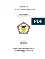Makalah Audit Maternal Perinatal