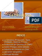 Manuel Betancur - Leonardo Perez - Celulosa - 2006-05-09