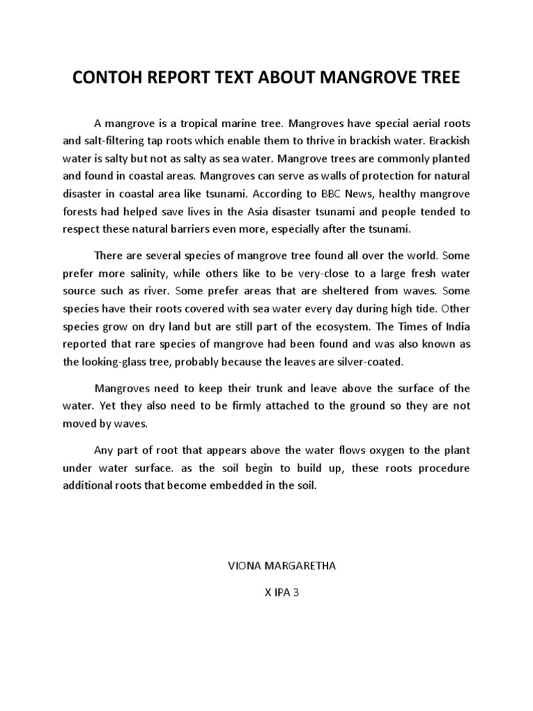 Report Text About Mangrove Tree PDF Mangrove Tulip