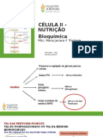 Aula Nutri 20.02