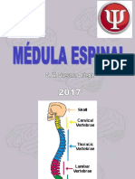 T6-Médula espinalM2