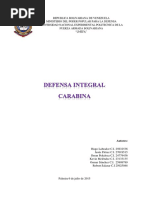 Carabina.docx
