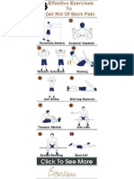 Backpain Excercise