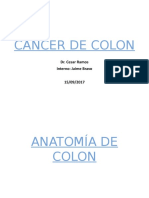 CA Colon