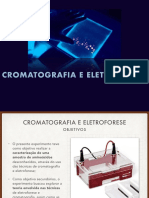 Cromatografia e Eletroforese