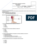 Guía Evaluada Cs Naturales 4° Básico