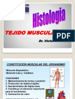 Tejido Muscular Histologico