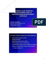 IDENTIFICACIÓN BACTERIAS ACÉTICAS TÉCNICAS MOLECULARES