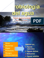 Microbiologia Del_agua 02062017