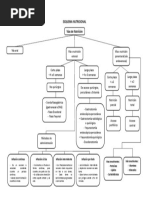 Esquema Nutricional