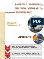 Contabilidad Ambiental Exposicion