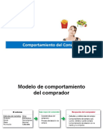 Tema 6. Comportamiento Del Consumidor