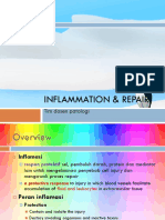 Inflammation & repair.pptx