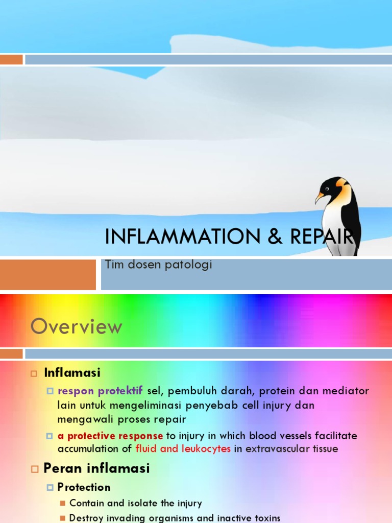 Inflammation and Tissue Repair Overview | PDF | Granulocyte | Inflammation