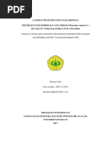 Download LAPORAN PRAKTIKUM KULTUR JARINGAN fixdocx by Sara Azzahra II SN359919915 doc pdf
