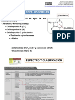 Tema 1 (B)