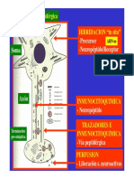 NB 2. Metodos PDF