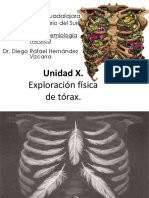 Torax semiologia