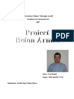 Ivan Daniel Proiect Beton