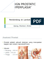 "Benign Prostatic Hyperplasia": Pembimbing: Dr. Lambok, Sp.U
