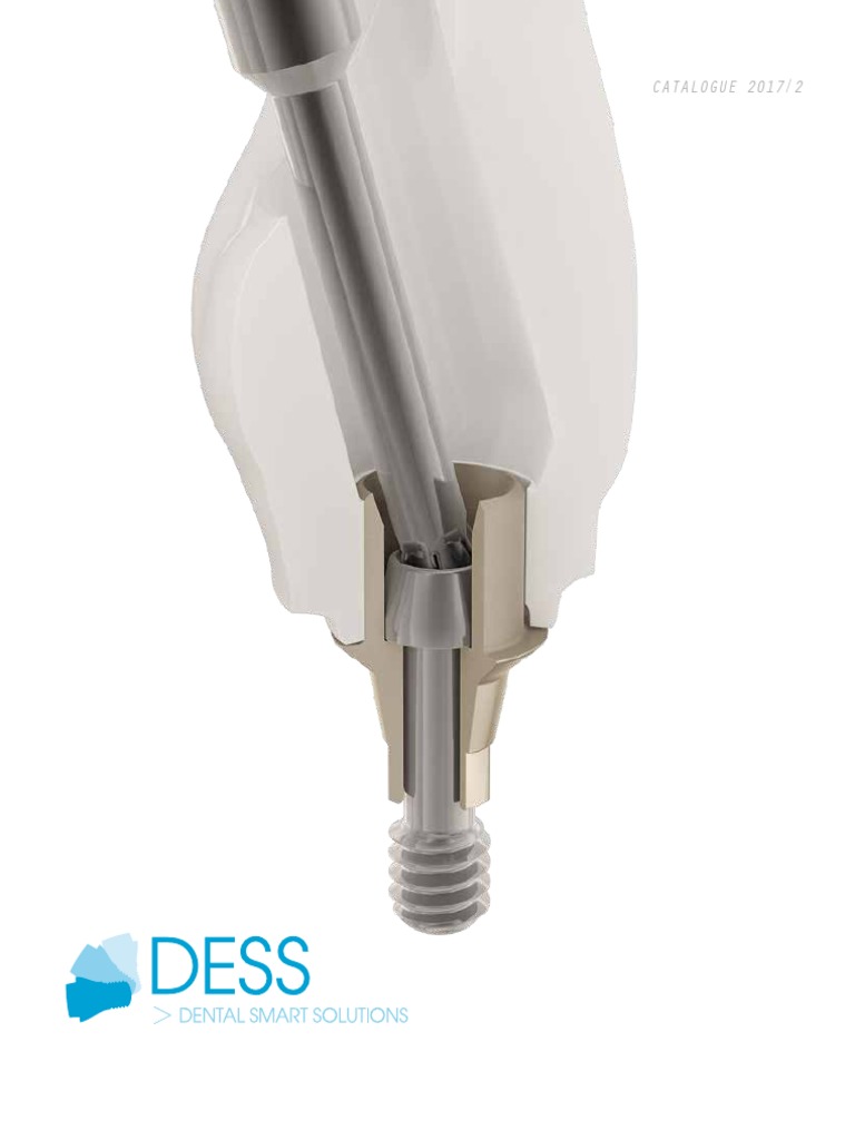 2017 2 DESS Catalogue Ingles | PDF | Dental Implant | Titanium