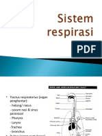 Kuliah 1 - Anatomi Sistem Respirasi (Dr. Septa) (Salinan Berkonflik Desktop-C75lc50 2017-08-04)