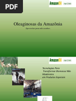 Apresentacao Amazonoil 2017.pptx