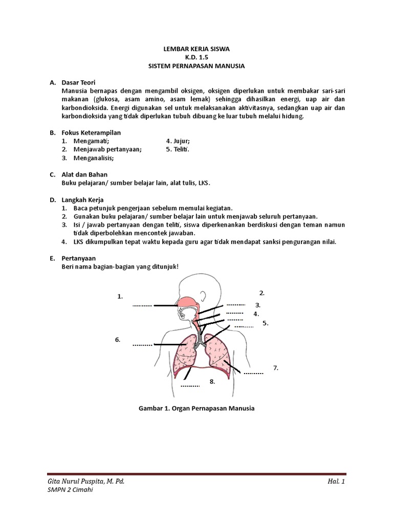 42685616 Lks Sistem Pernapasan Manusia Doc