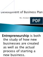 Development of Business Plan