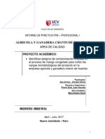 Informe de Practicas Profecinales 1