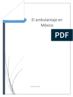 El Ambulantaje en México