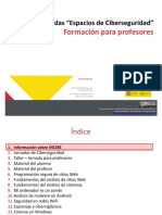 Espaciosciberseguridad Profesores PDF