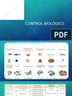 Control Biologico en Citricos