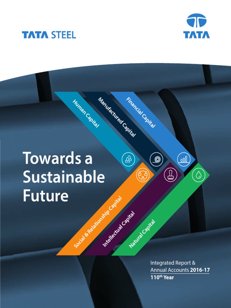 Tata Steel 2016-17 | PDF | Board Of Directors | Corporate Social ...