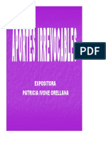 APORTES IRREVOCABLES.pdf