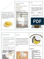 Triptico Platano 1