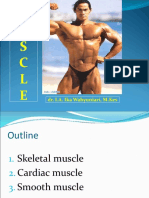 11. Skeletal Muscles