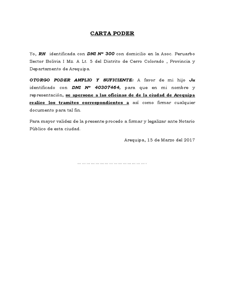 Carta Poder Modelo Simple Perú Finanzas General