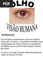 8 Olho e Visao Humana