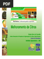 Melhoramento de Citrus - Sérgio Alves de Carvalho