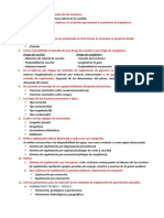 aluviales.pdf