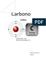 Carbono.docx